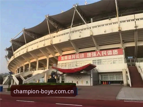 博业体育新手教程全面评测：从零开始的冠军之路体验报告